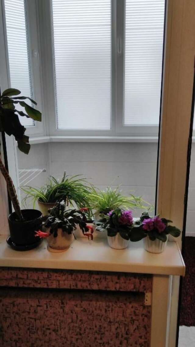 Апартаменты Holiday and Travel Apartment Брест-42